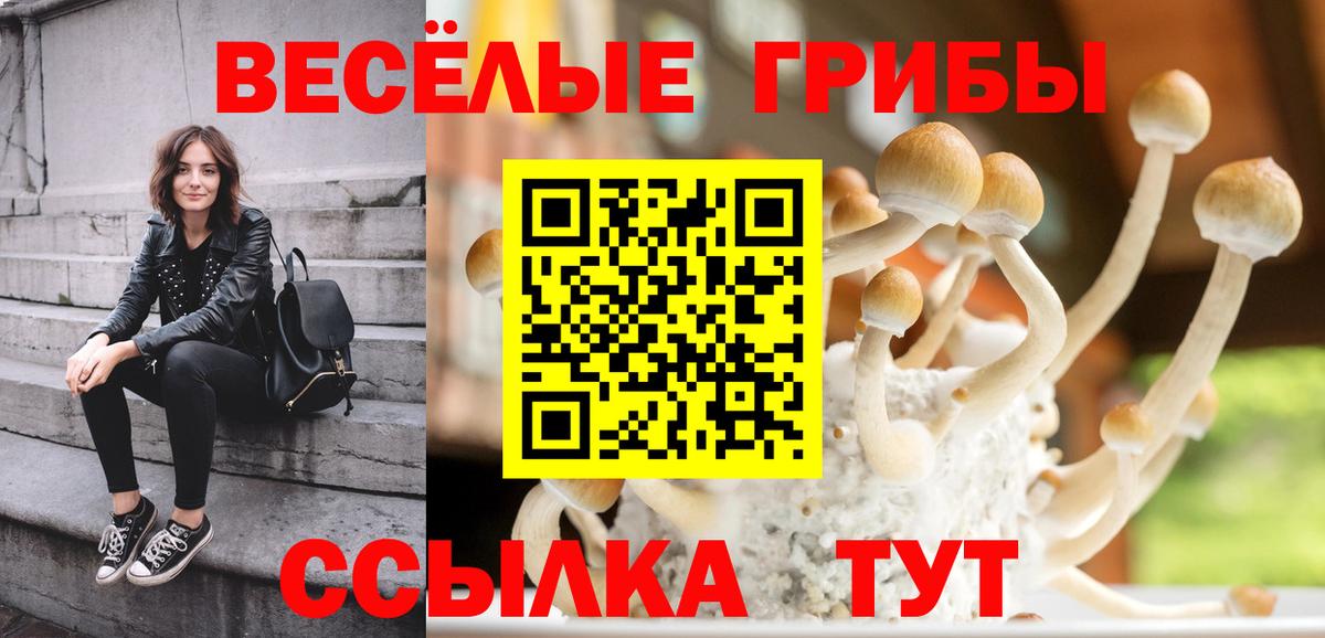 Галлюциногенные грибы Magic Shrooms Майский