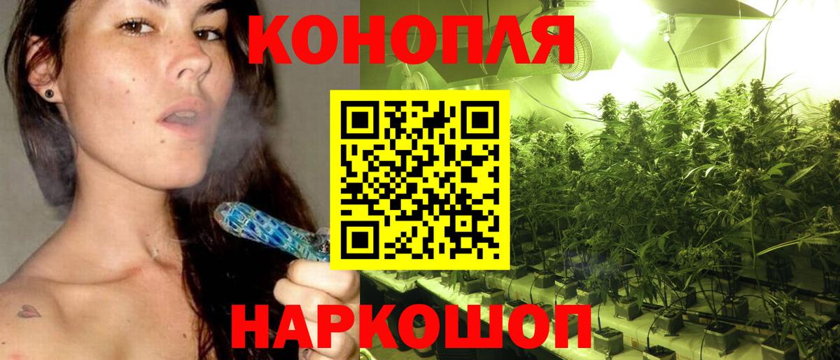 Каннабис MAZAR Майский